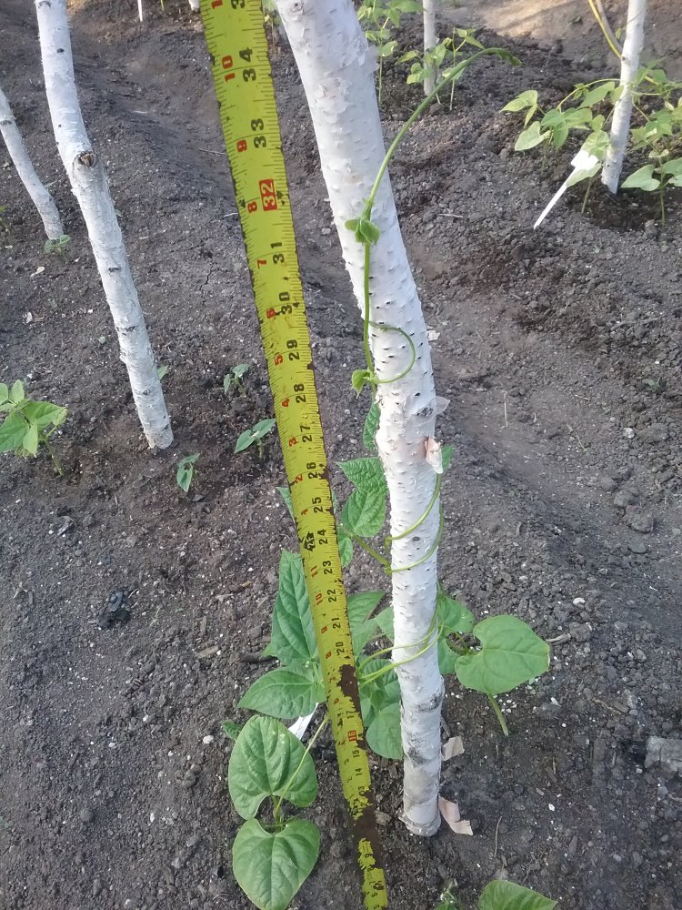 20230606_193312.jpg