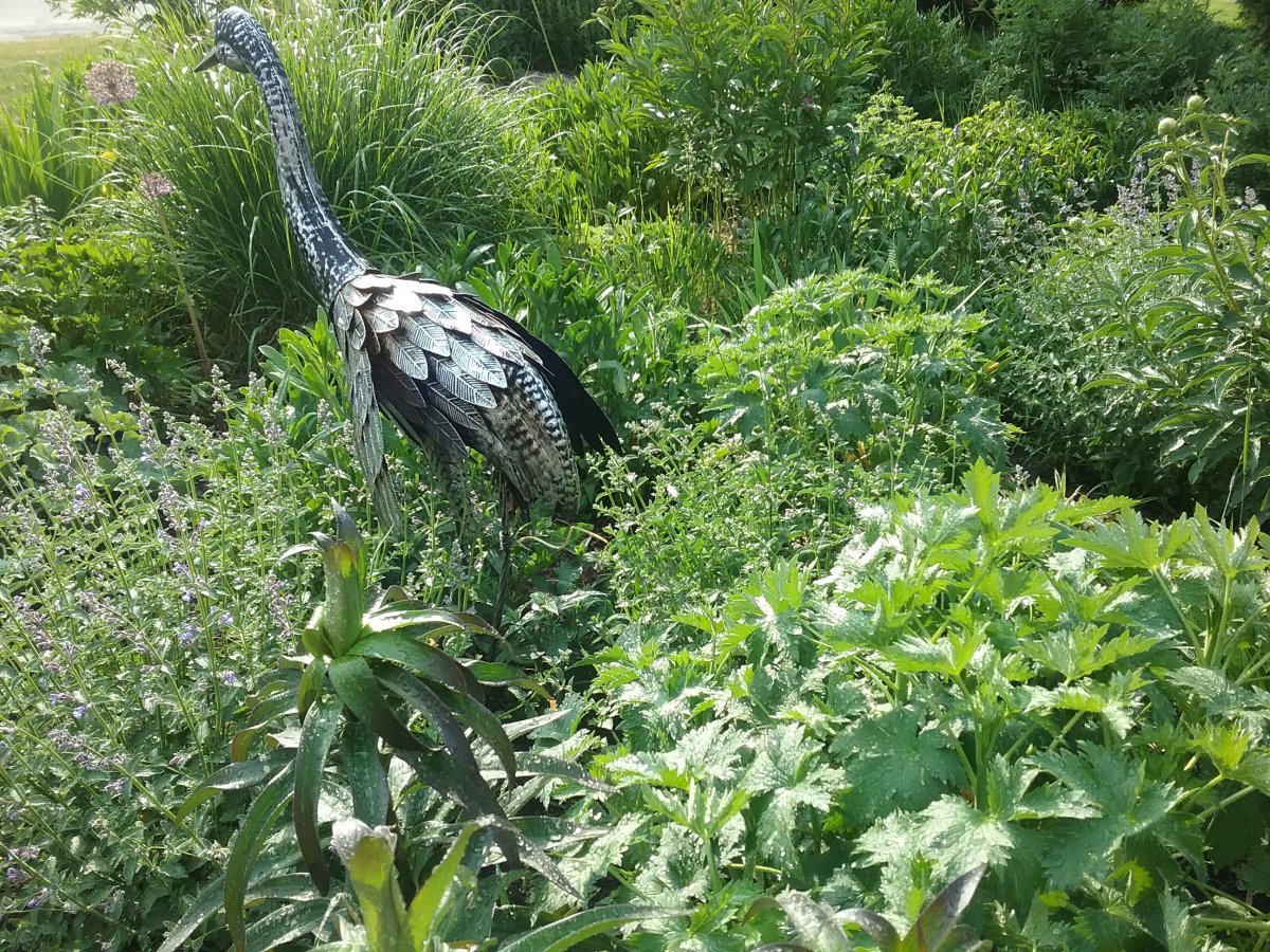 20230607_181444.jpg