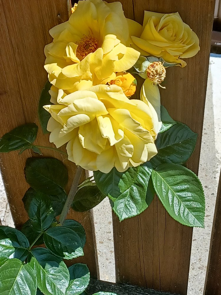20230613_131023.jpg