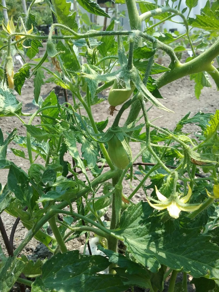 20230621_122949.jpg