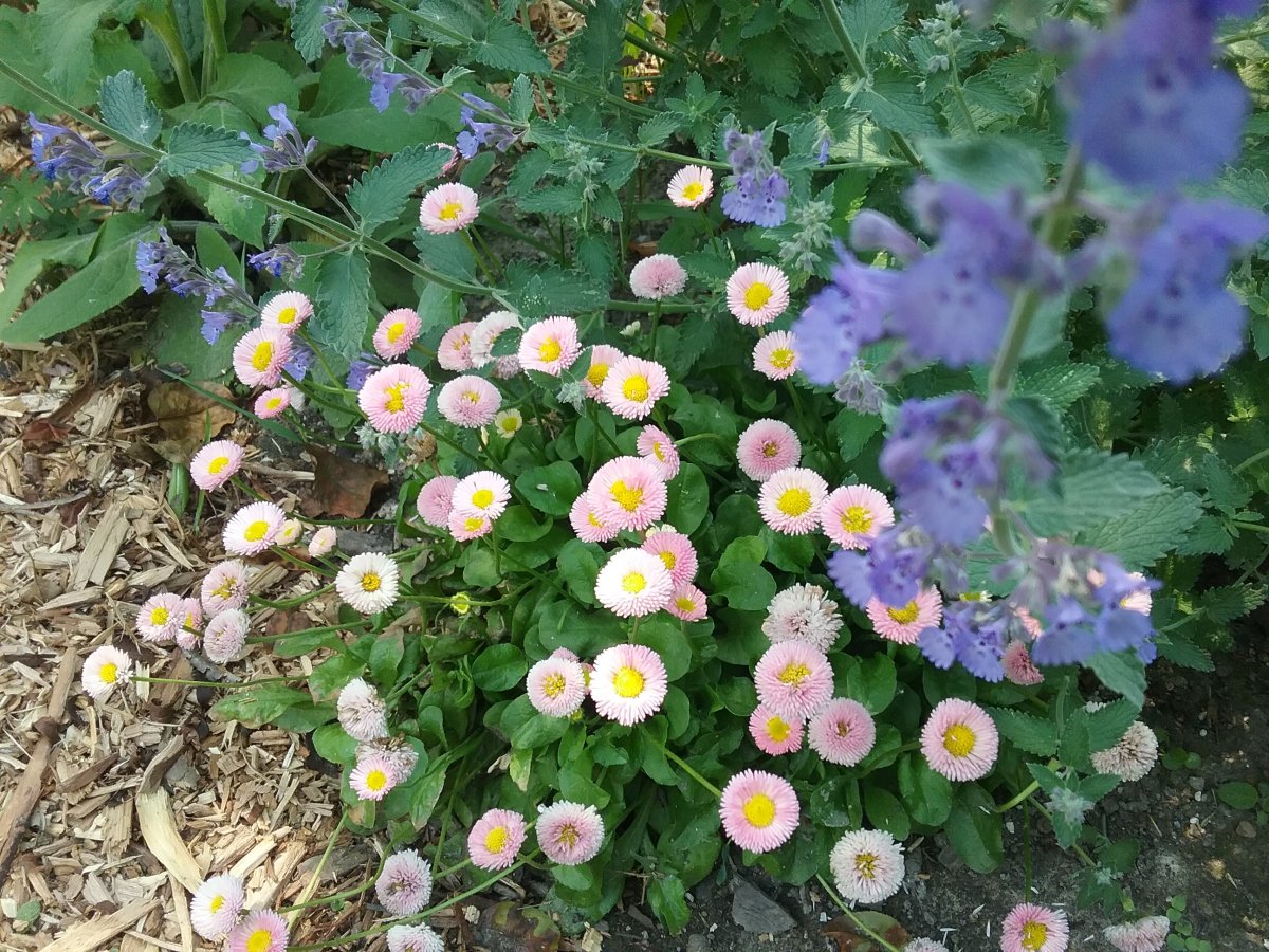 20230621_123228.jpg