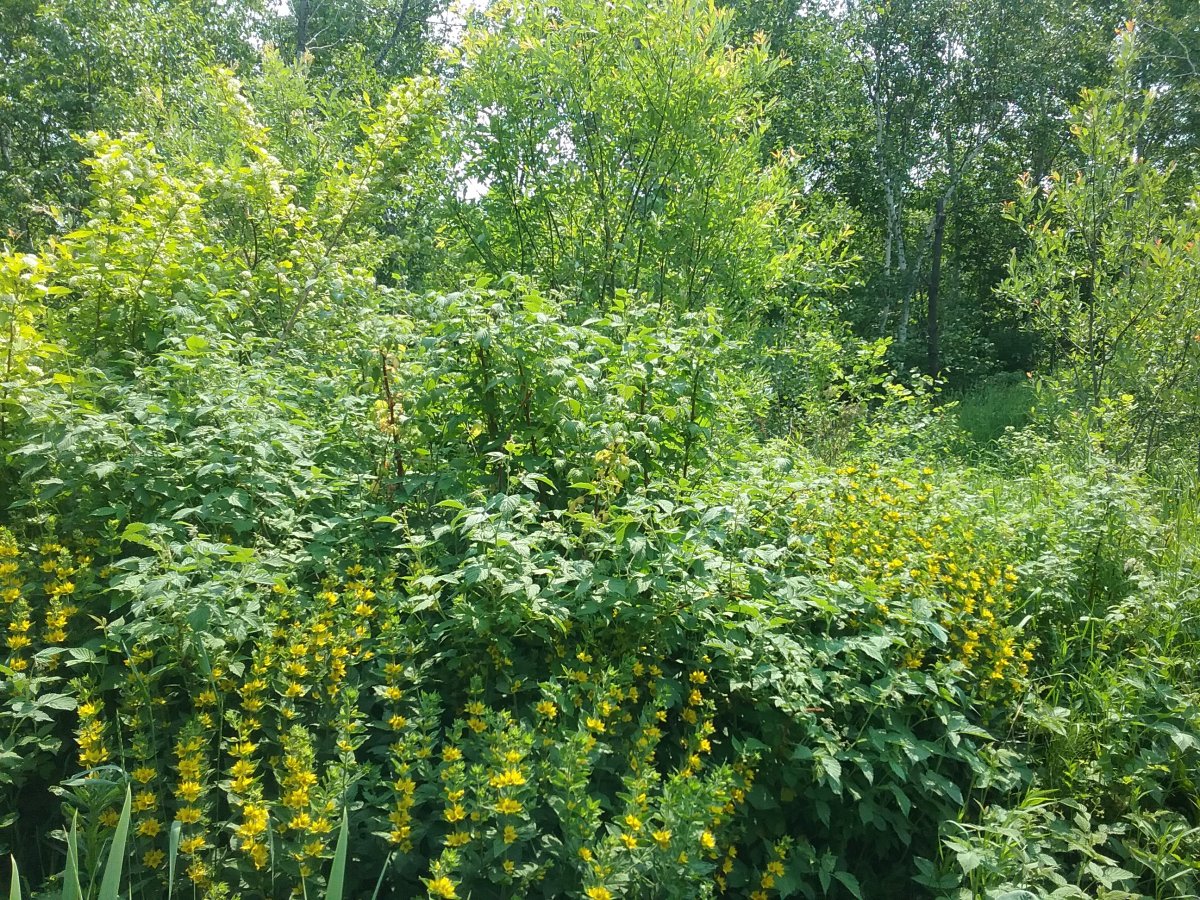 20230621_123728.jpg