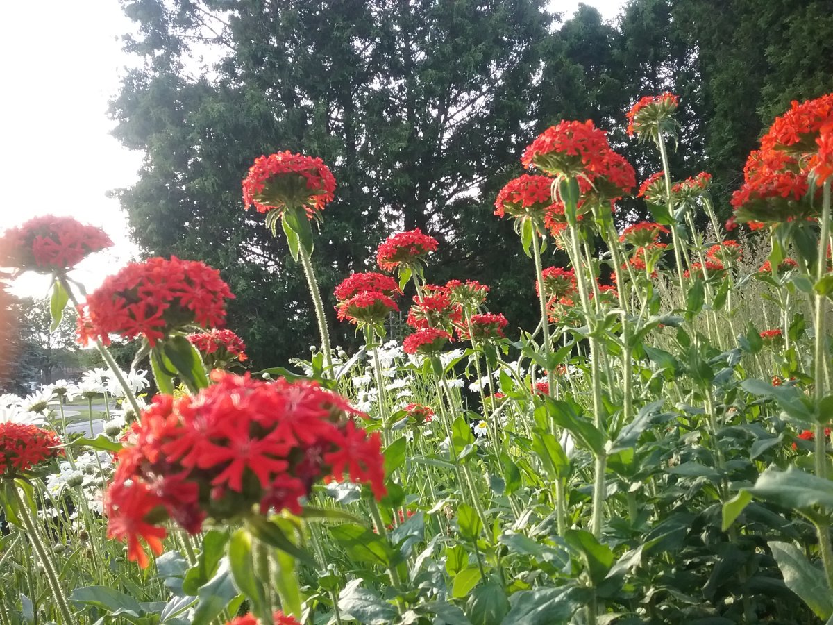 20230704_194043.jpg