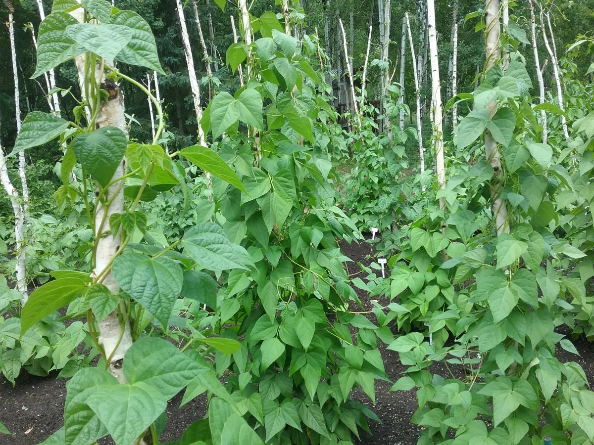 20230705_155543.jpg