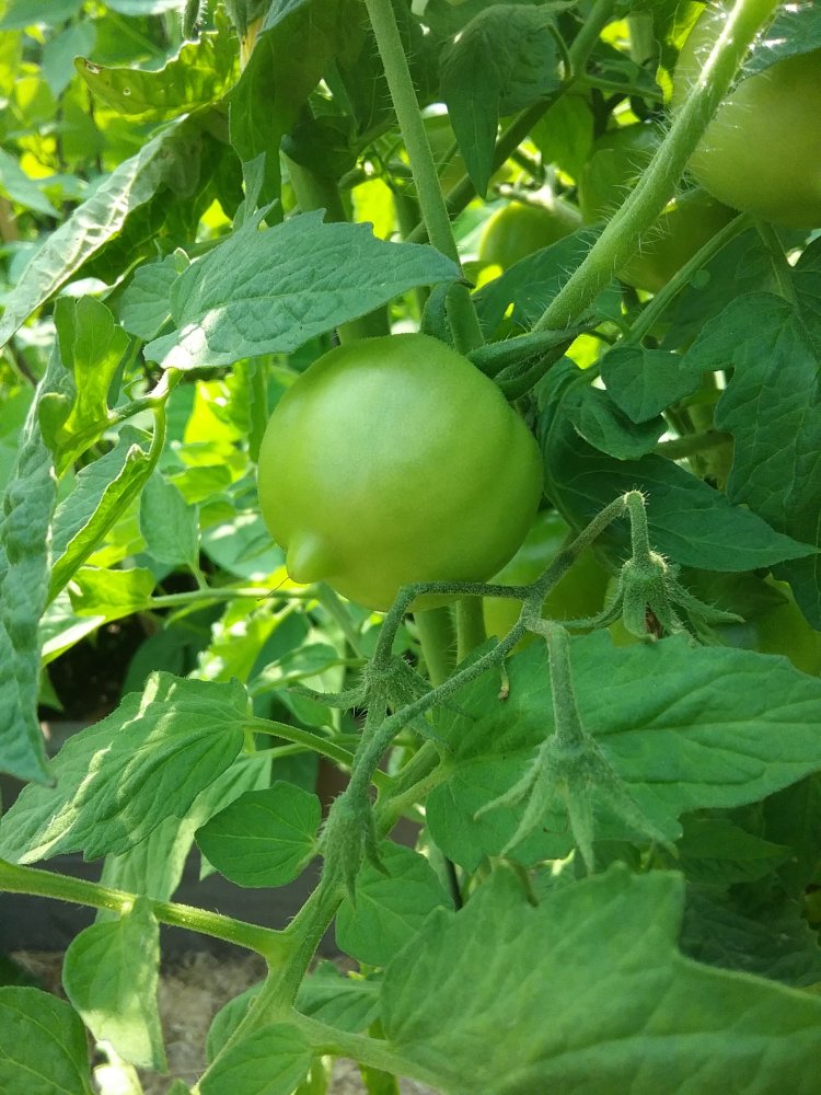 20230710_152522.jpg