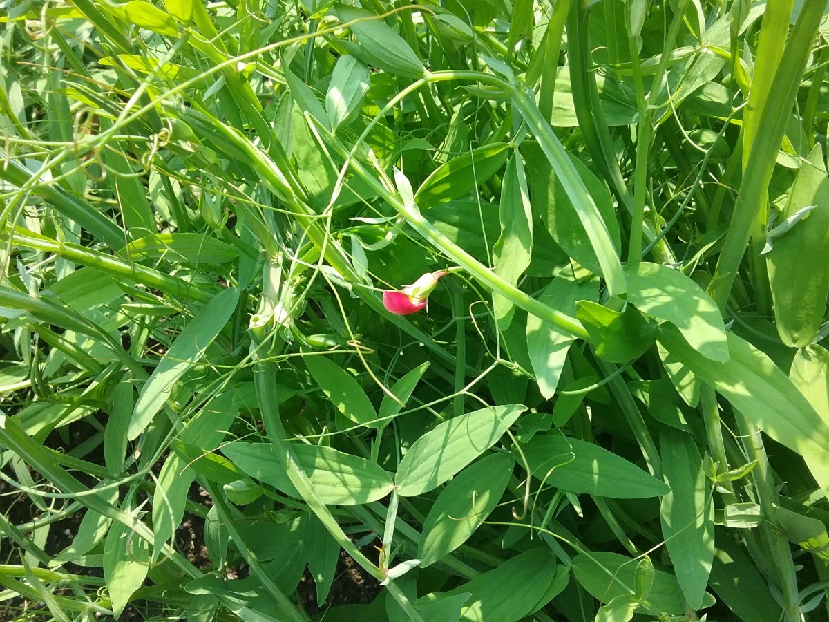 20230710_153916.jpg