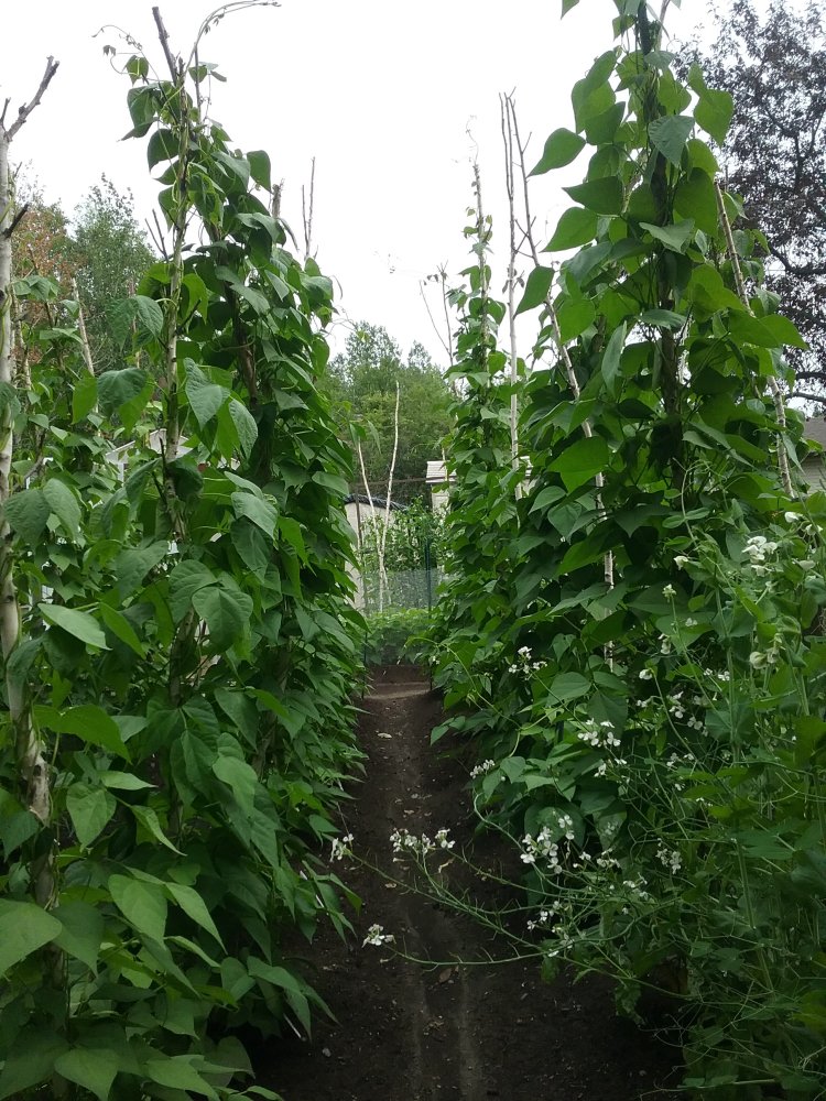 20230715_191510.jpg