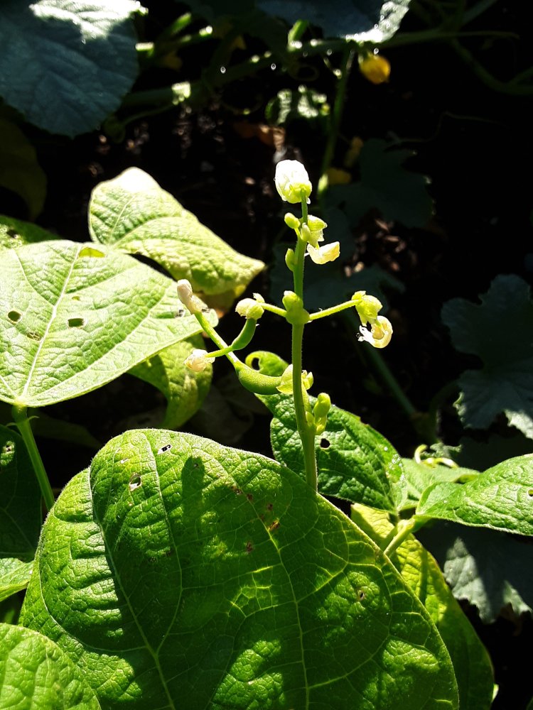 20230729_082921.jpg