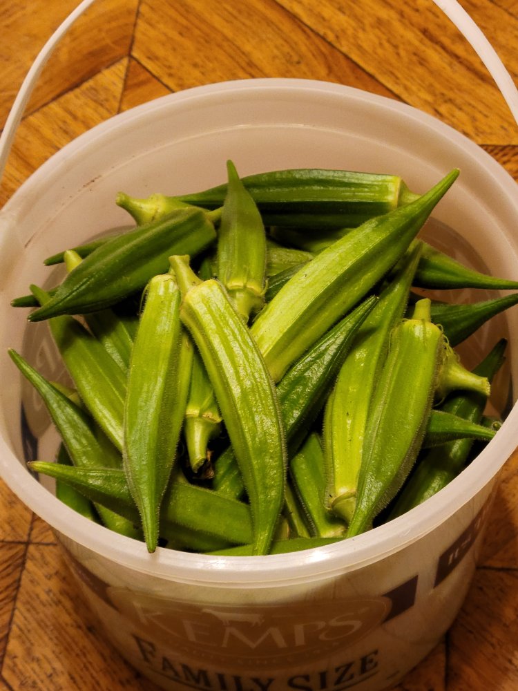20230806_201448.jpg