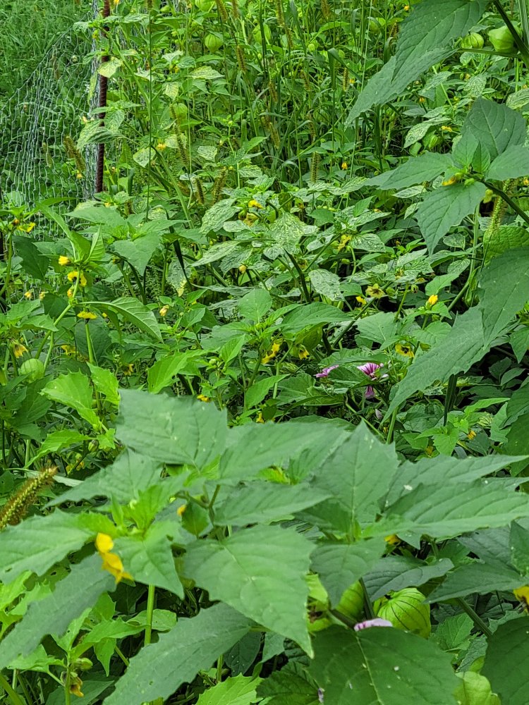 20230826_151803.jpg