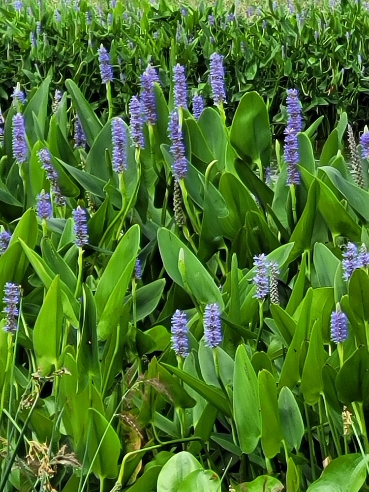 20230829_101614.jpg