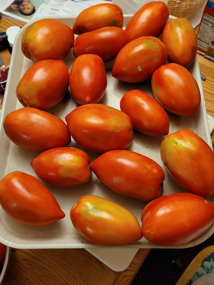 20230906_202819.jpg