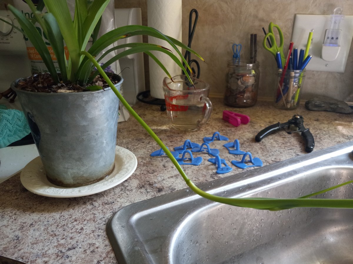 20230907_104453.jpg