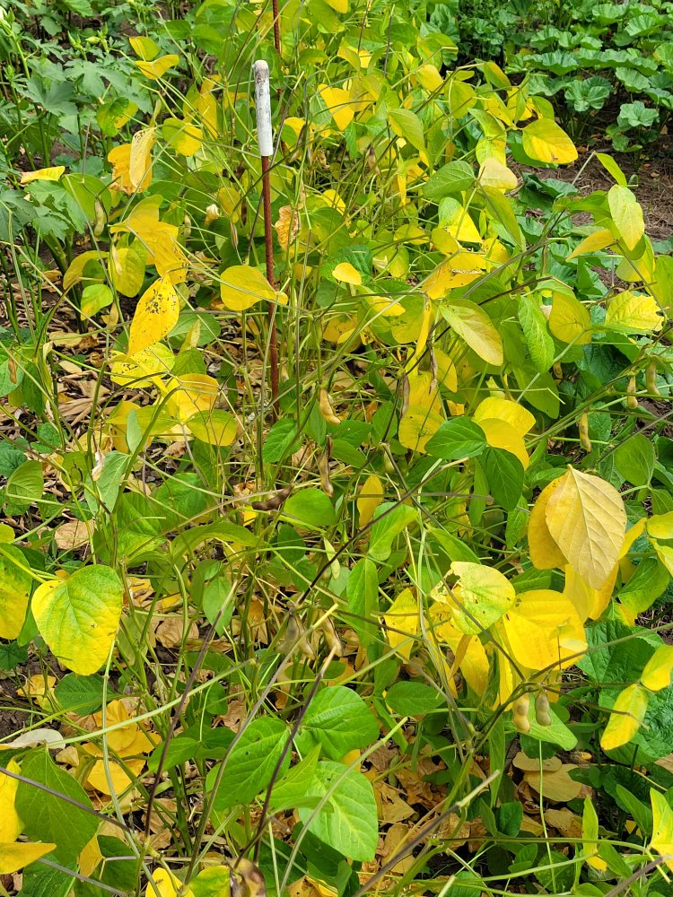 20230908_132621.jpg
