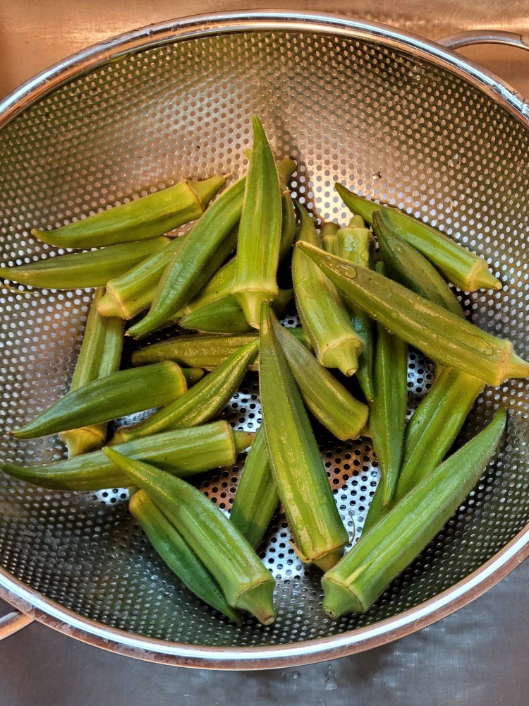 20230918_073044.jpg