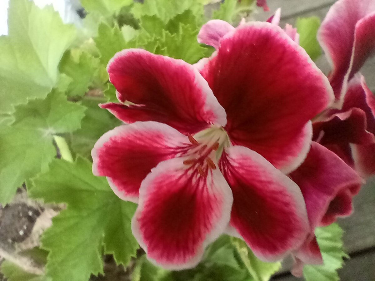20240619_072816.jpg