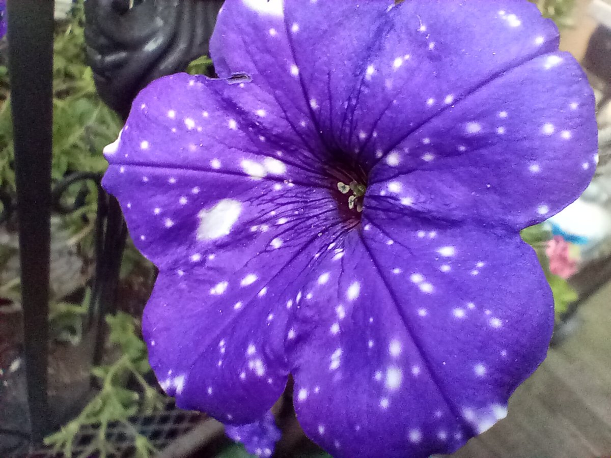 20240619_072836.jpg