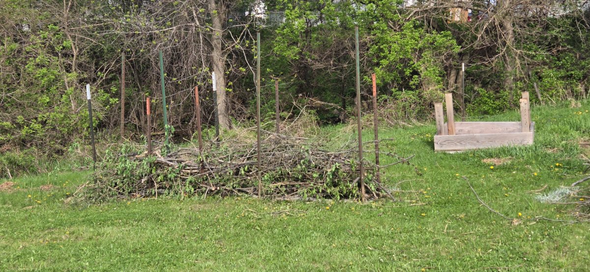 20260426_161116.jpg