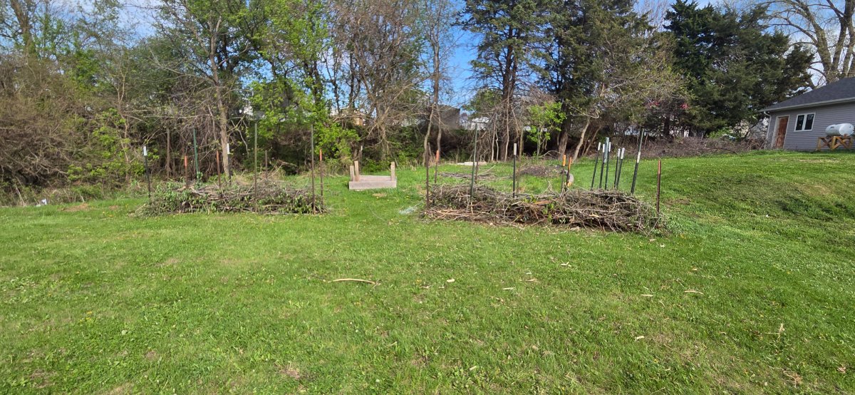 20260426_161127.jpg