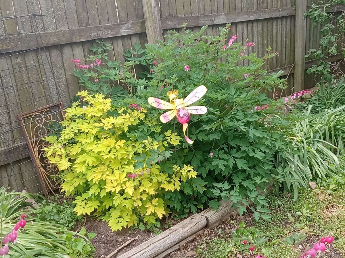 20260512_155603.jpg