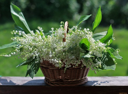 2200x1620_831750_[www.ArtFile.ru].jpg