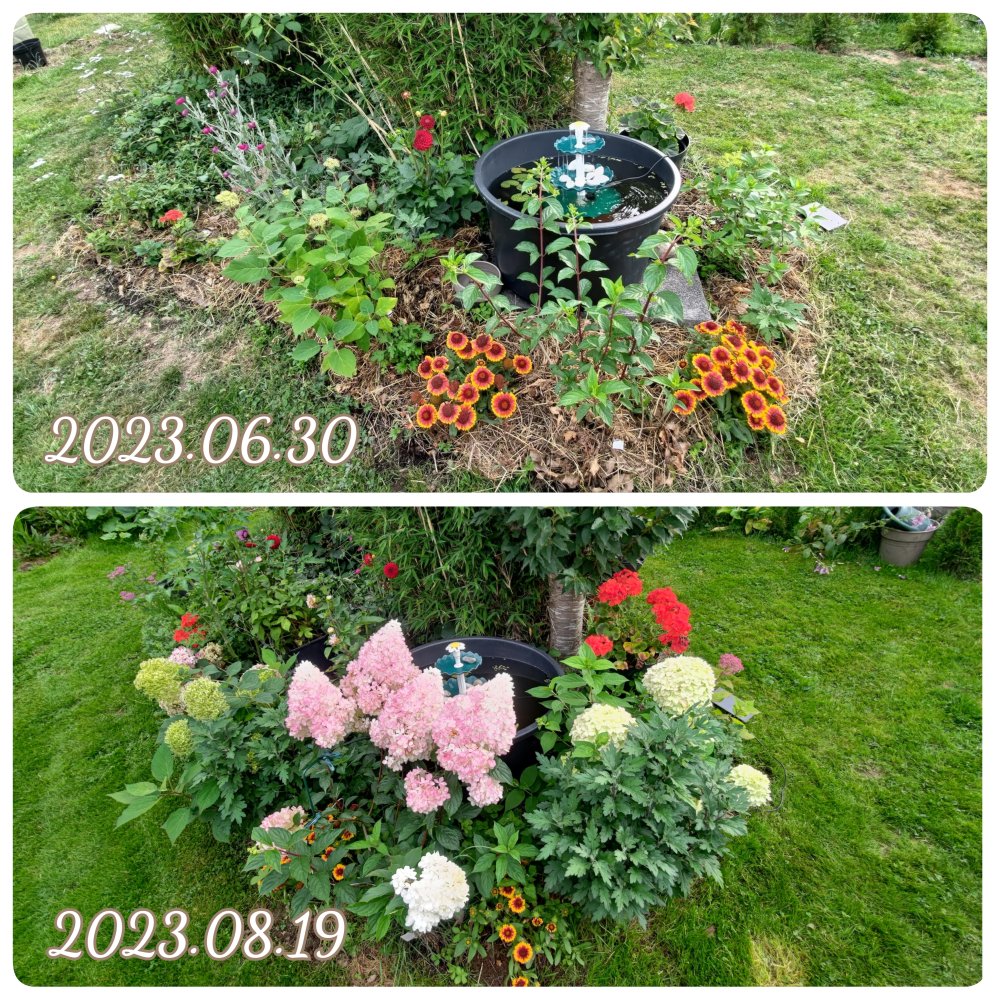 23-08-19-22-08-36-800_deco.jpg