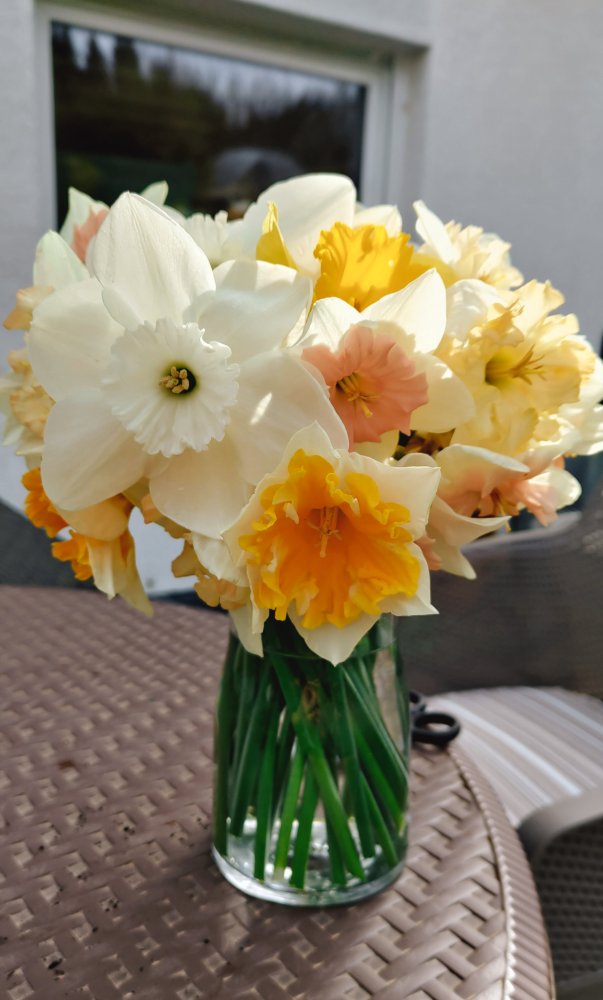 24-04-08-10-54-18-159_deco.jpg