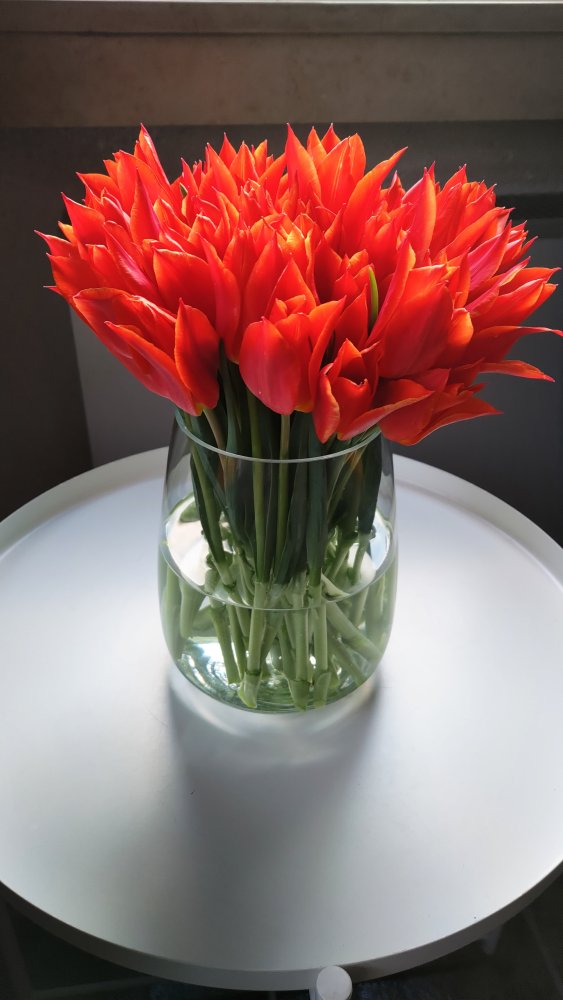 24-04-24-06-26-54-059_deco.jpg