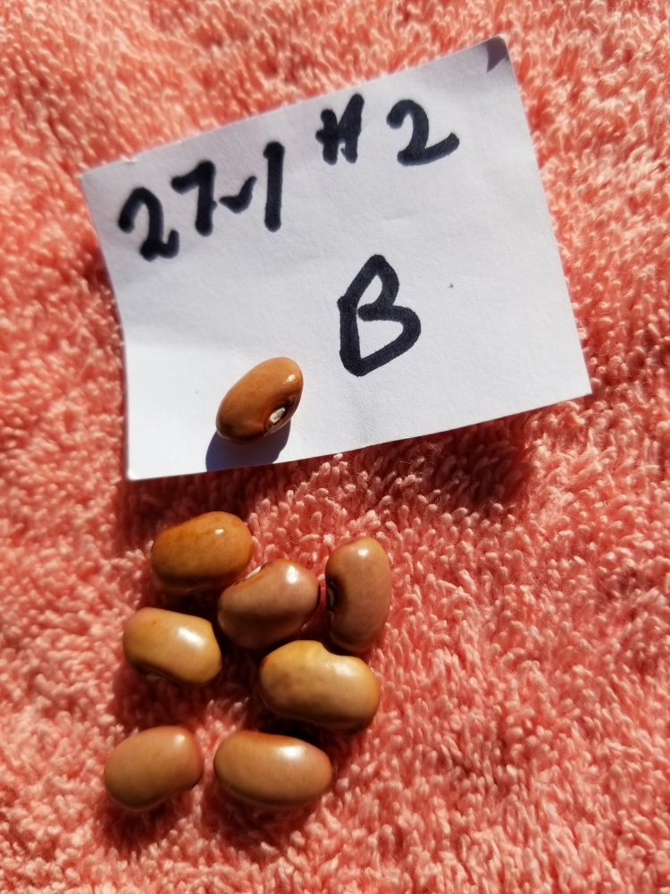 27-1 2B.jpg