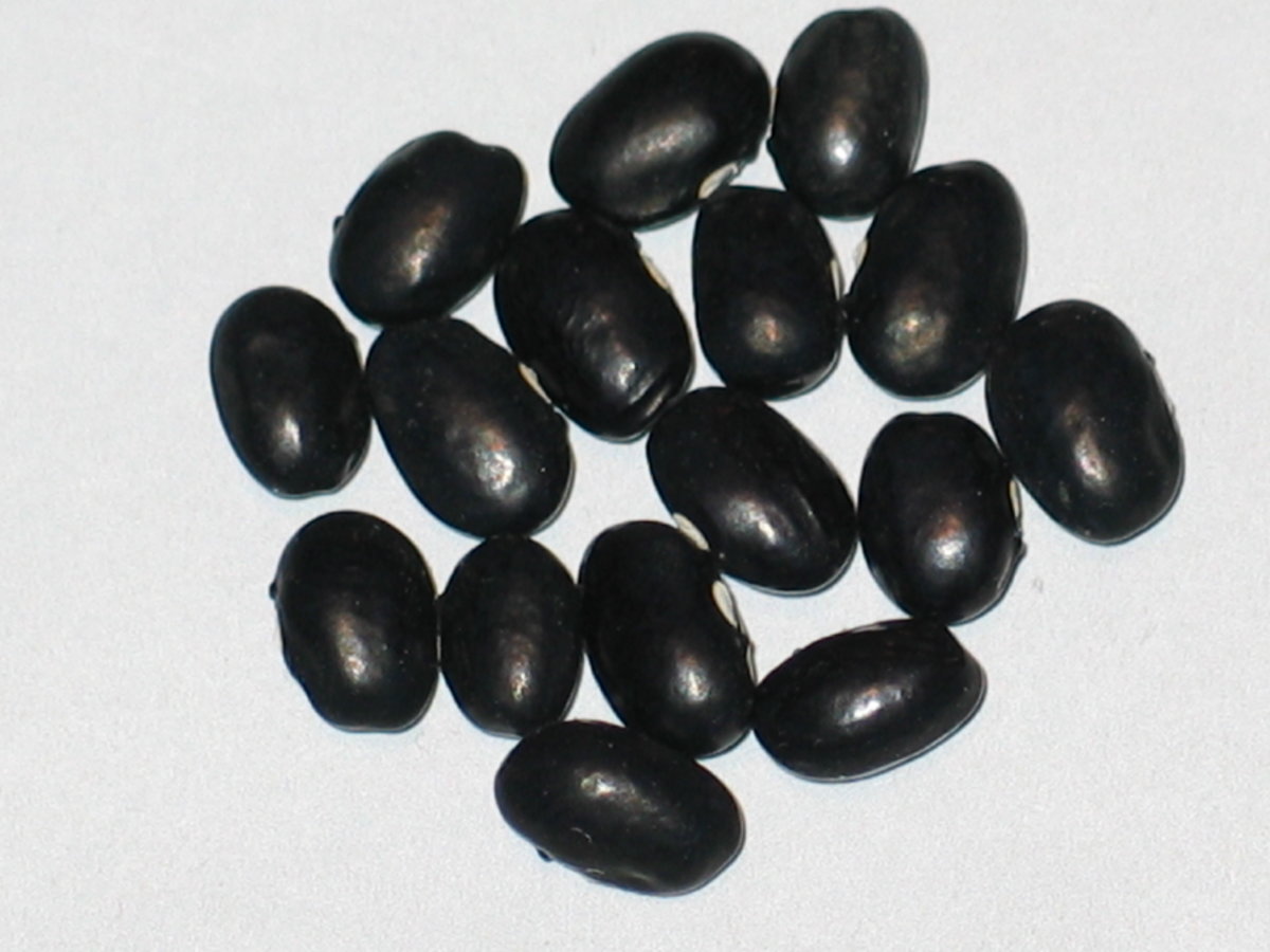#28 - 01-03A-Black.jpg