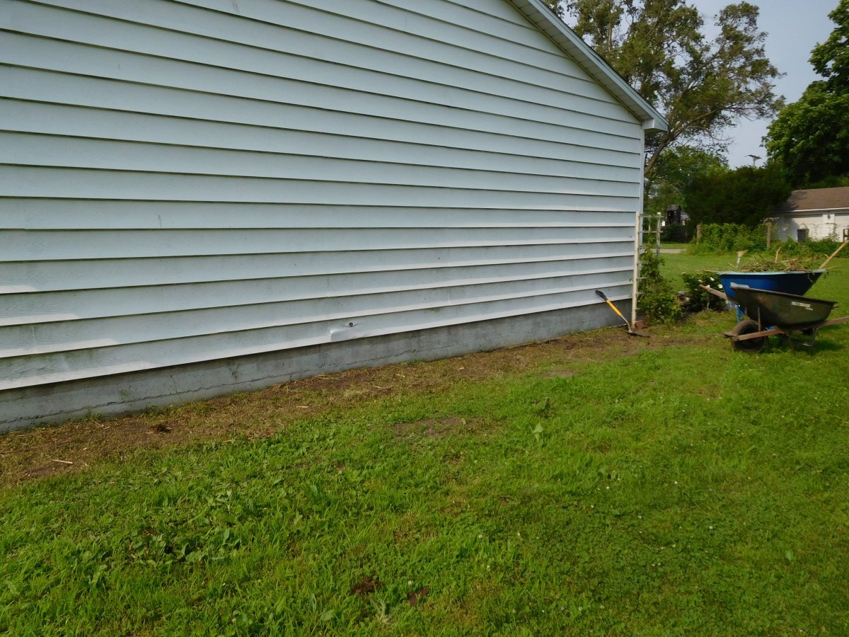 2nd shot of the cleanup, tomato bed, 06-01-19.jpg