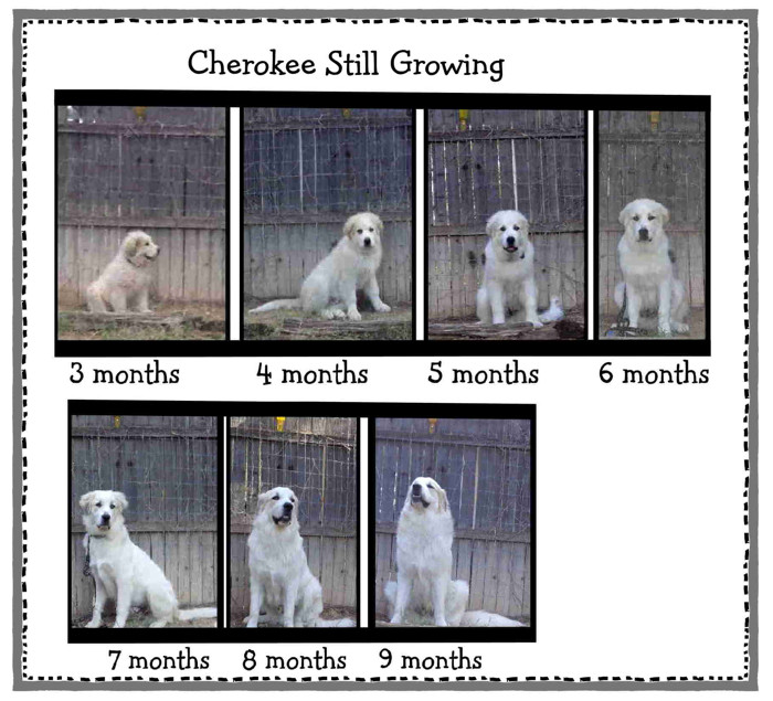 3 month to 9 months edit email.JPG