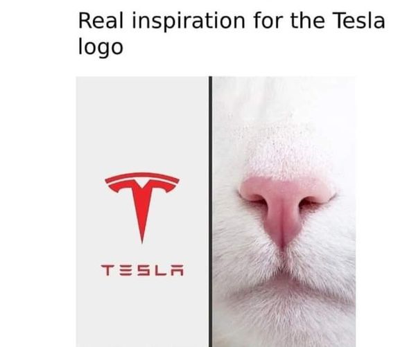 318318267_5460104504116275_8955315110812710132_n.jpg