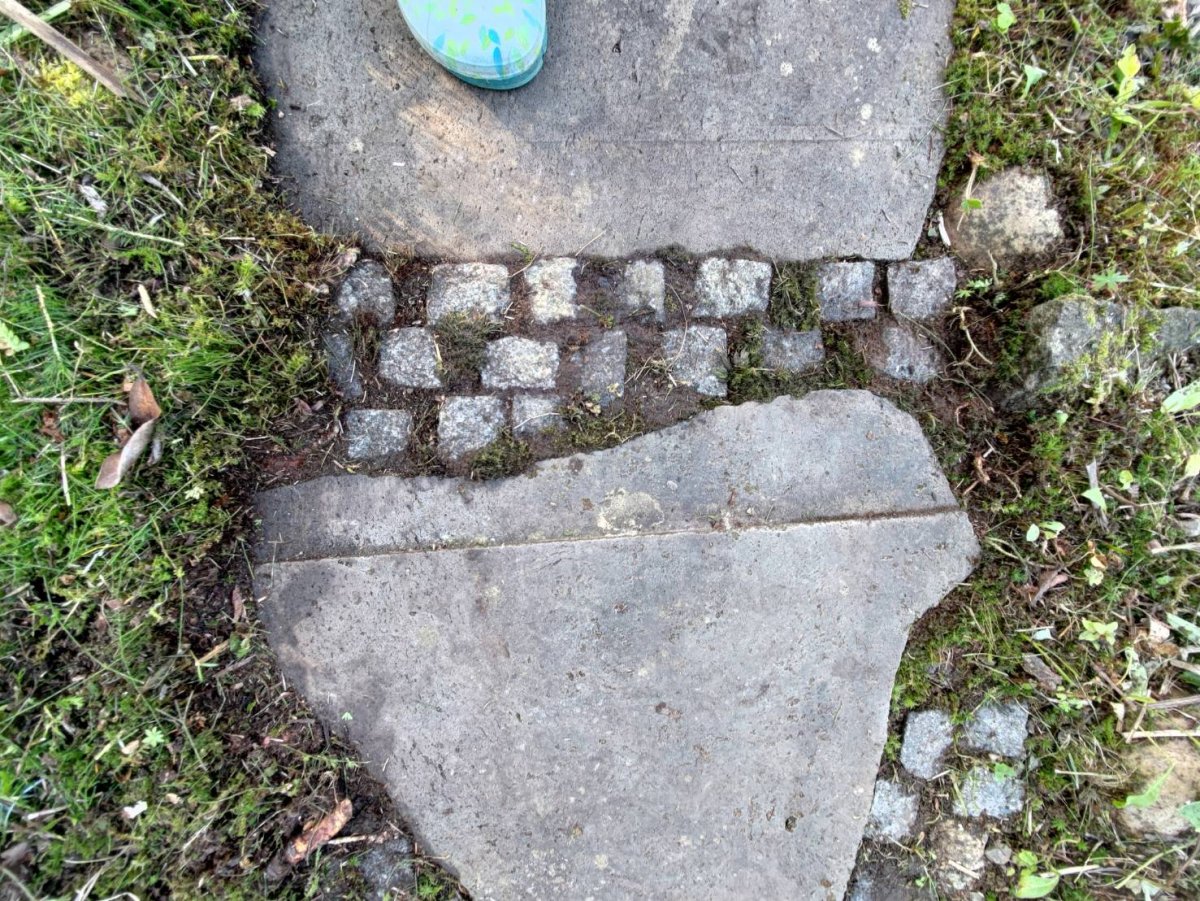 32178.jpg