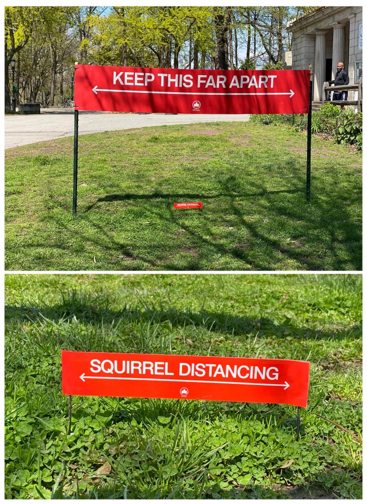 329ffdb.jpg