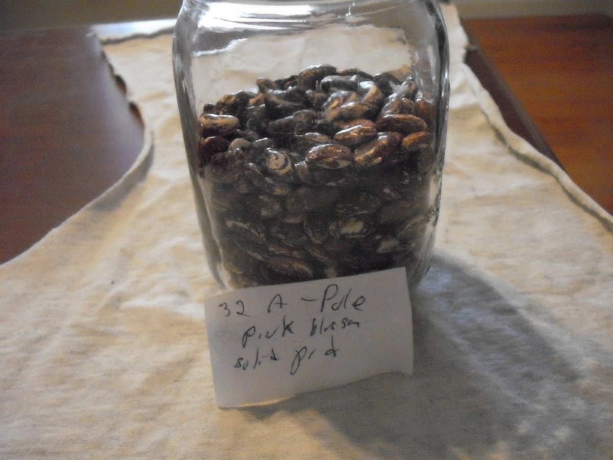 32A Pole Jar.JPG