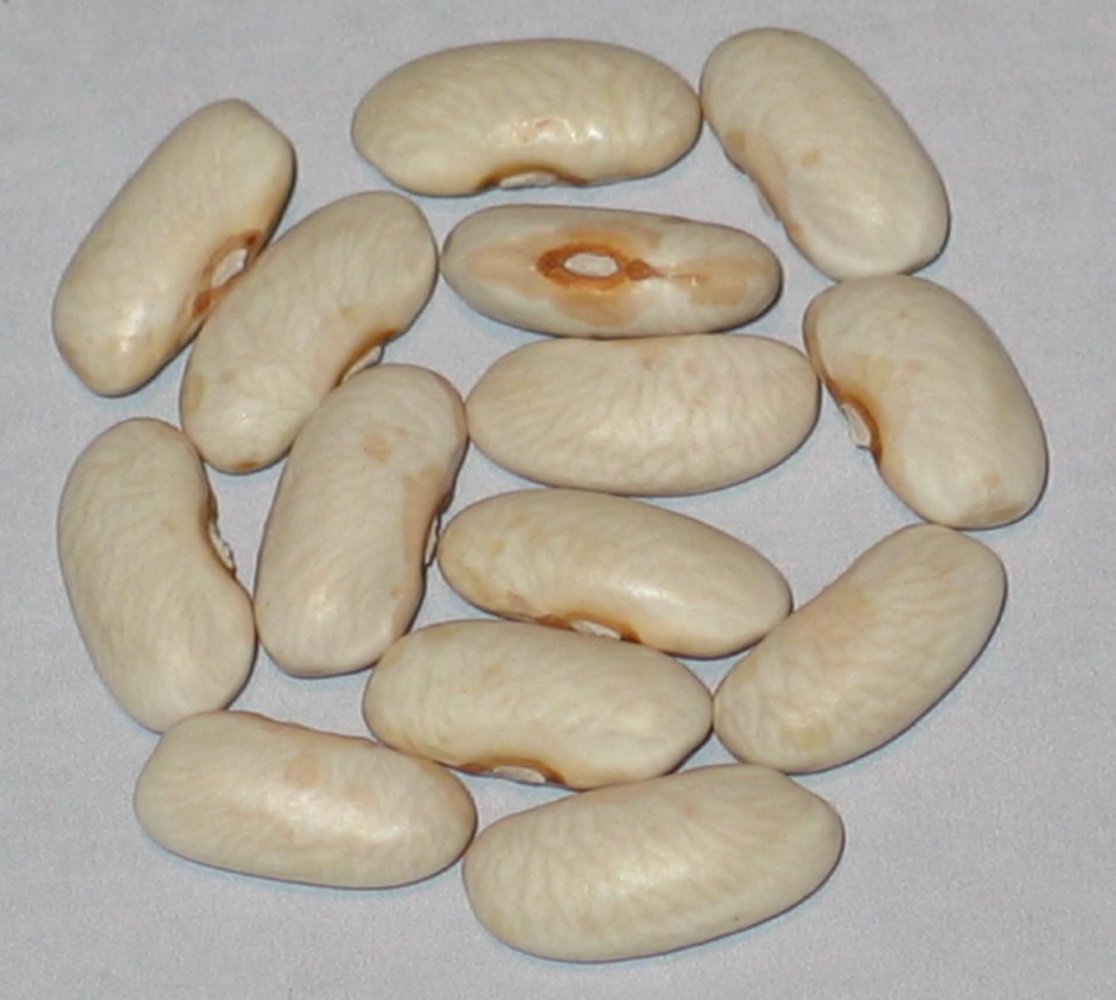 #34C-97-98A-02-#2.2  Long Prairie.jpg