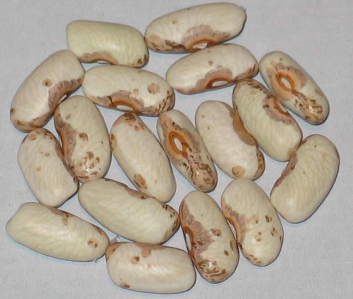 #34C-97-98A-02-#2.3  Long Prairie.jpg