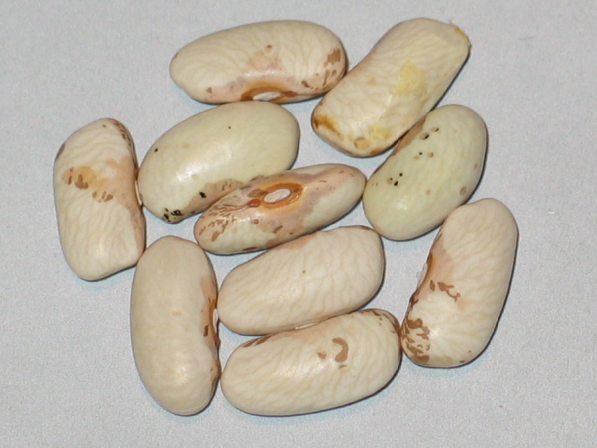 34C - 97-98A-02-#2.jpg