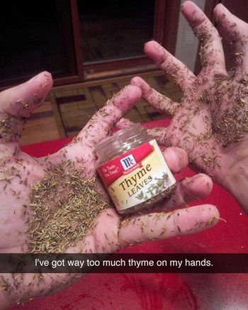 350x700px-LL-505b0ceb_9538f4197a23111fa66f92f91ac4e7bb.jpg