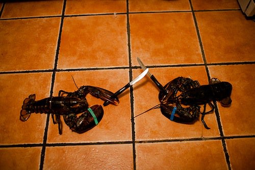39.RhodeIsland.jpg