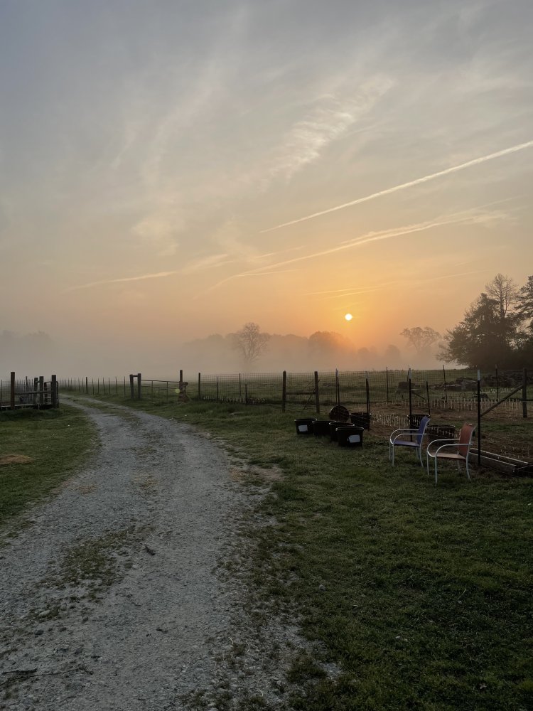 41023504-F167-4A6E-A663-2DC3B37271E3.jpeg