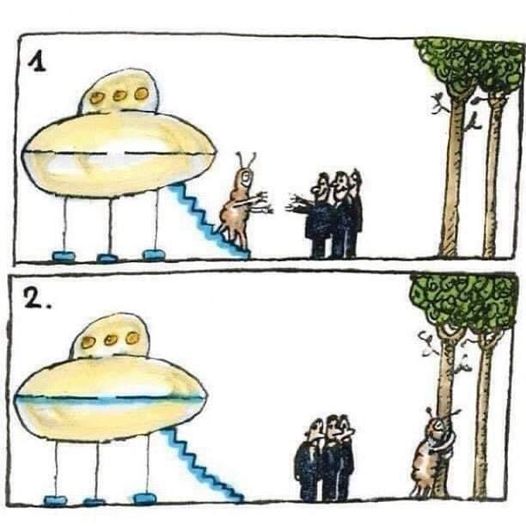 420214156_806028148219079_621128222240665710_n.jpg