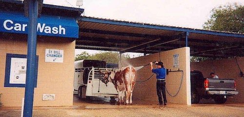 43.Texas_.jpg
