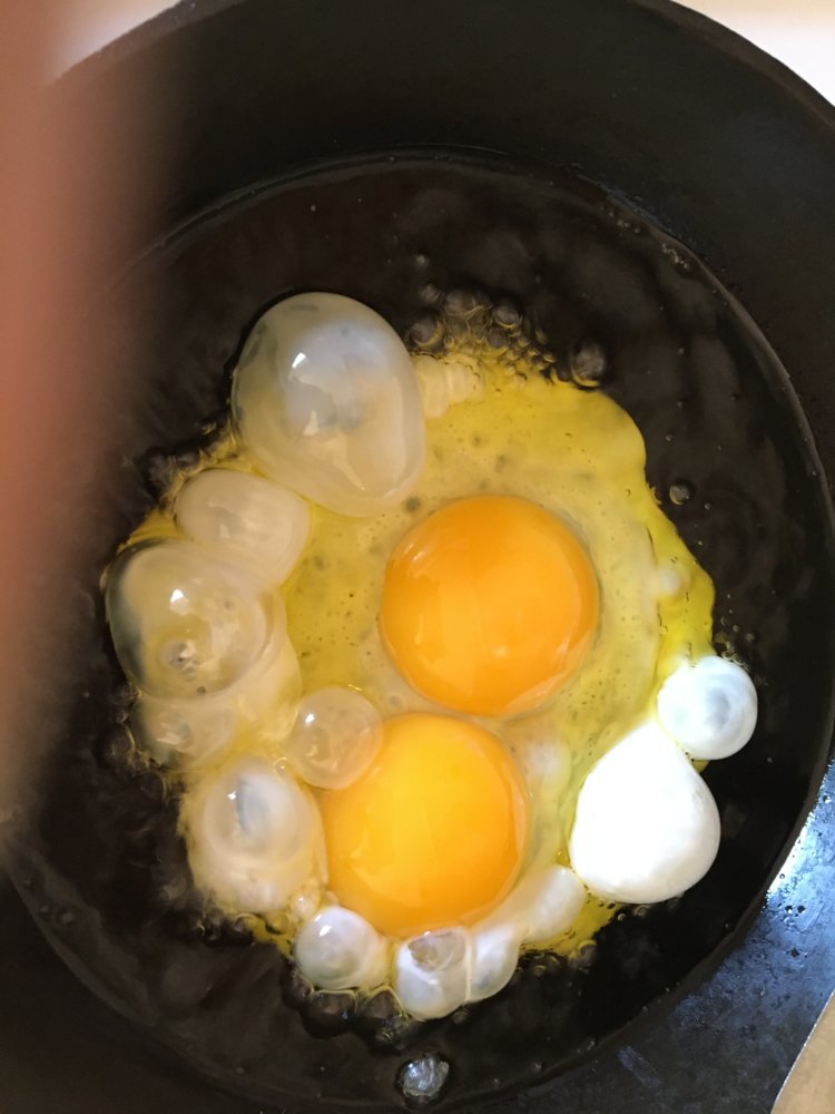 44A4D673-F1B7-4126-A64D-B119864A937B.jpeg