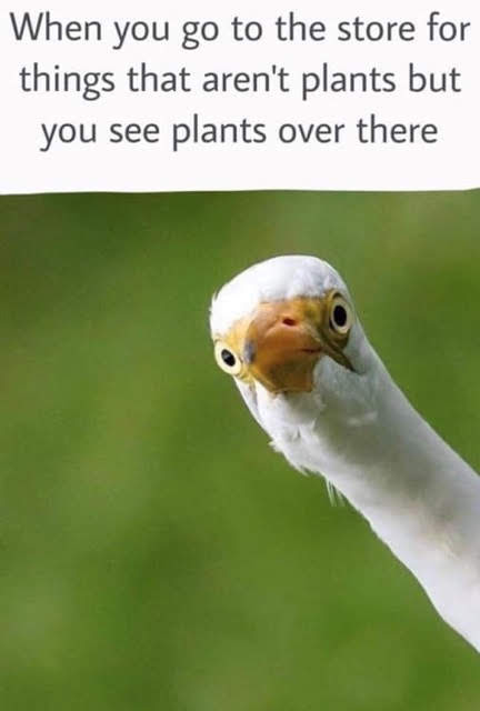 48279.jpeg