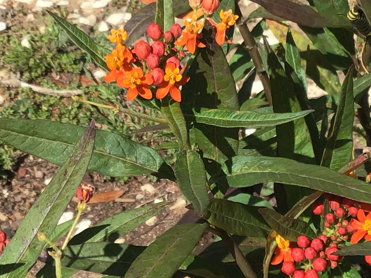 4B022793-26FF-4A7D-99D3-D933D5E6121D.jpeg