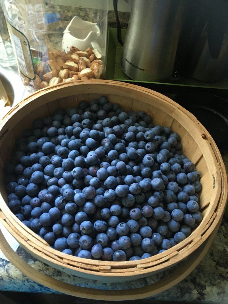 4CFBBECA-32B9-4C9F-9AD7-25983CFF29E7.jpeg