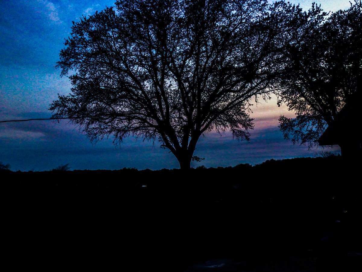 4E2C0225-BA1A-4538-A5D1-78362058F28E.jpeg