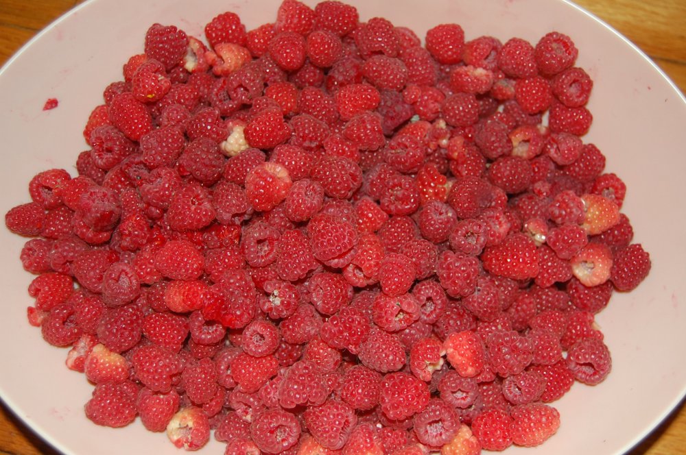 5 lbs raspberries.jpg